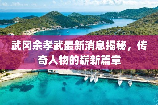 武岡余孝武最新消息揭秘，傳奇人物的嶄新篇章
