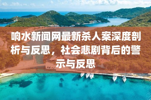 響水新聞網(wǎng)最新殺人案深度剖析與反思，社會(huì)悲劇背后的警示與反思