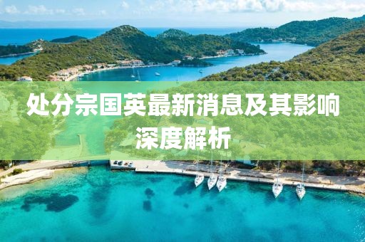 處分宗國英最新消息及其影響深度解析