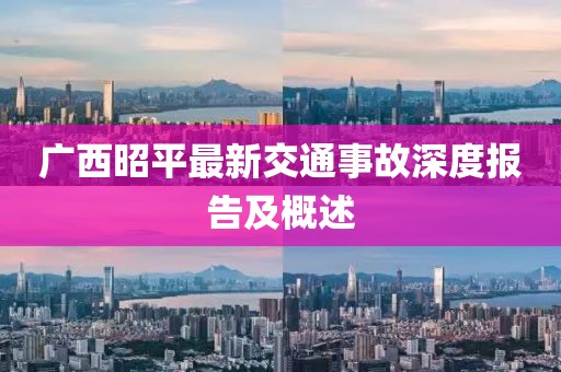 廣西昭平最新交通事故深度報告及概述