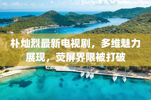 樸燦烈最新電視劇，多維魅力展現(xiàn)，熒屏界限被打破