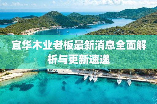 宜華木業(yè)老板最新消息全面解析與更新速遞
