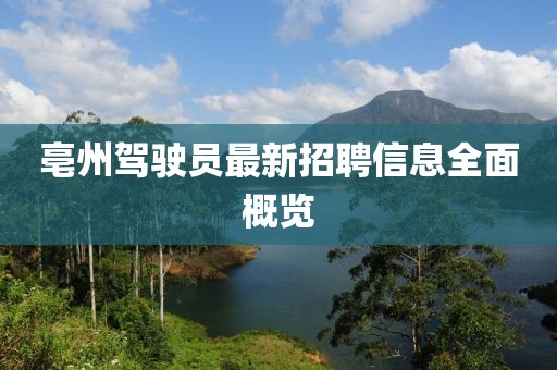 亳州駕駛員最新招聘信息全面概覽