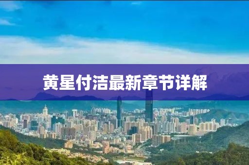 黃星付潔最新章節(jié)詳解