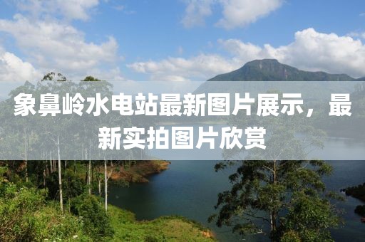 象鼻嶺水電站最新圖片展示，最新實拍圖片欣賞