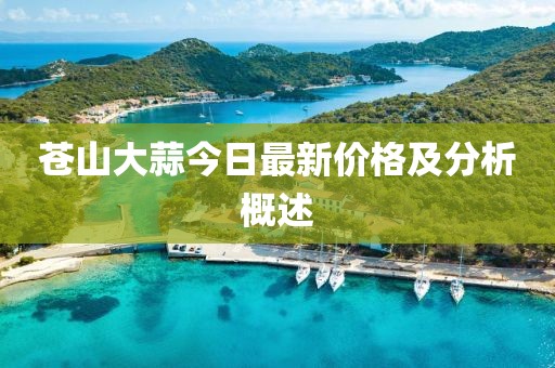 蒼山大蒜今日最新價格及分析概述
