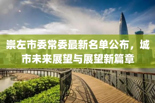 崇左市委常委最新名單公布，城市未來展望與展望新篇章