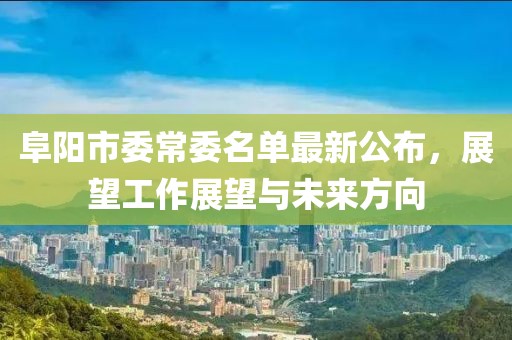 阜陽市委常委名單最新公布，展望工作展望與未來方向