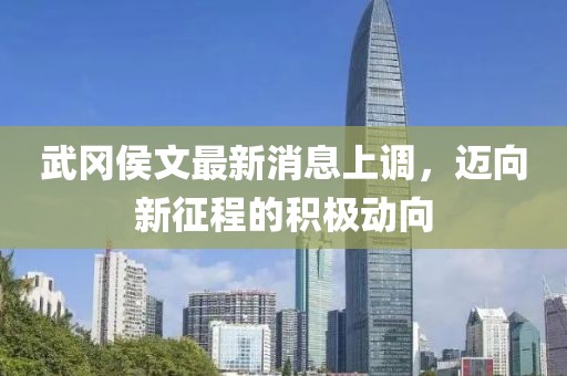 武岡侯文最新消息上調(diào)，邁向新征程的積極動(dòng)向
