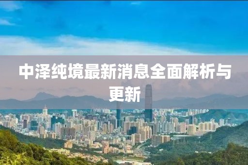 中澤純境最新消息全面解析與更新