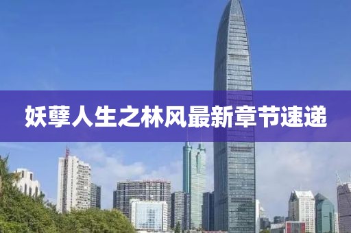 藍(lán)天下頭的女孩 第14頁