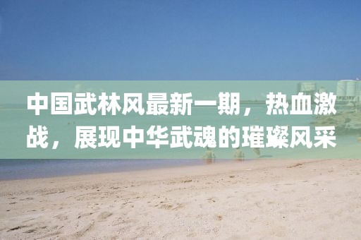 中國武林風(fēng)最新一期，熱血激戰(zhàn)，展現(xiàn)中華武魂的璀璨風(fēng)采