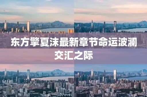 東方擎夏沫最新章節(jié)命運波瀾交匯之際