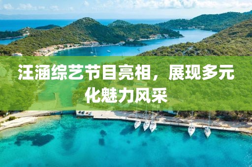 汪涵綜藝節(jié)目亮相，展現(xiàn)多元化魅力風(fēng)采