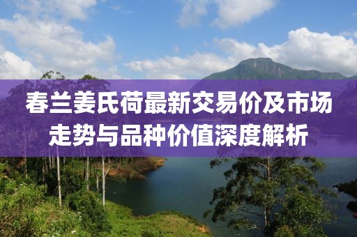 春蘭姜氏荷最新交易價(jià)及市場走勢與品種價(jià)值深度解析