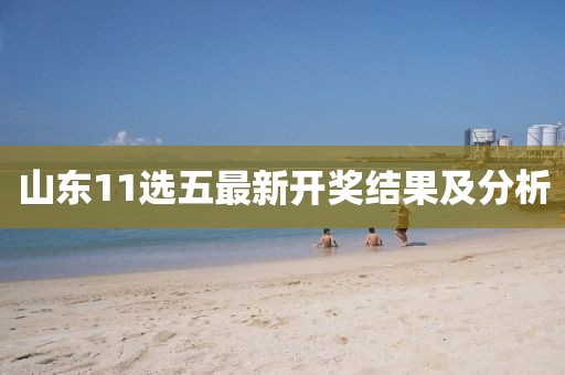 山東11選五最新開獎結(jié)果及分析