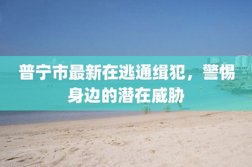 普寧市最新在逃通緝犯，警惕身邊的潛在威脅
