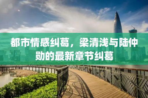 都市情感糾葛，梁清淺與陸仲勛的最新章節(jié)糾葛