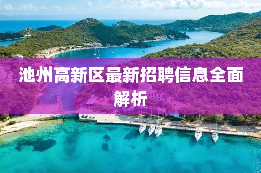池州高新區(qū)最新招聘信息全面解析