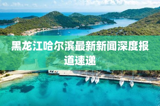 黑龍江哈爾濱最新新聞深度報(bào)道速遞