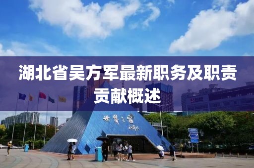 湖北省吳方軍最新職務(wù)及職責(zé)貢獻概述