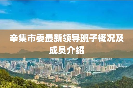 辛集市委最新領(lǐng)導(dǎo)班子概況及成員介紹