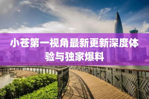 小蒼第一視角最新更新深度體驗與獨(dú)家爆料