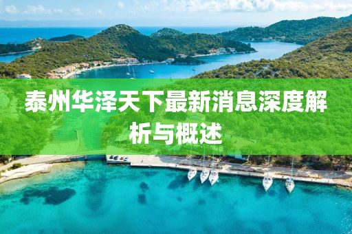 泰州華澤天下最新消息深度解析與概述