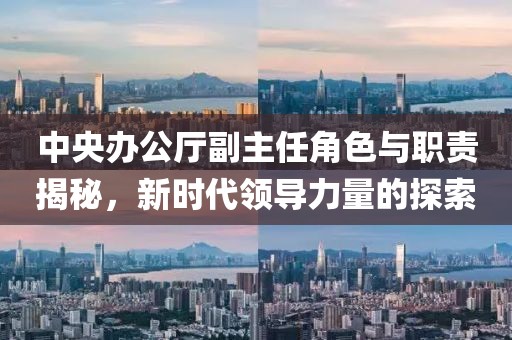 中央辦公廳副主任角色與職責(zé)揭秘，新時(shí)代領(lǐng)導(dǎo)力量的探索