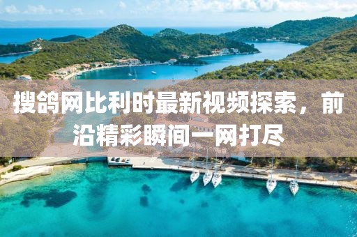 搜鴿網(wǎng)比利時(shí)最新視頻探索，前沿精彩瞬間一網(wǎng)打盡