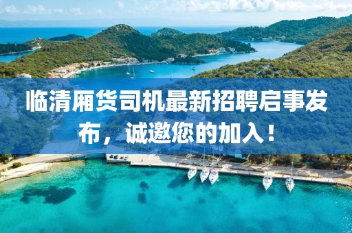 臨清廂貨司機最新招聘啟事發(fā)布，誠邀您的加入！