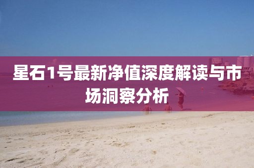星石1號(hào)最新凈值深度解讀與市場(chǎng)洞察分析