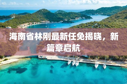 海南省林剛最新任免揭曉，新篇章啟航