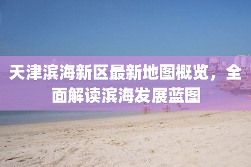 天津?yàn)I海新區(qū)最新地圖概覽，全面解讀濱海發(fā)展藍(lán)圖