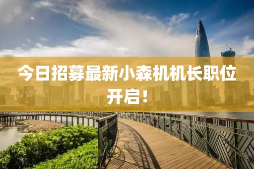 今日招募最新小森機機長職位開啟！