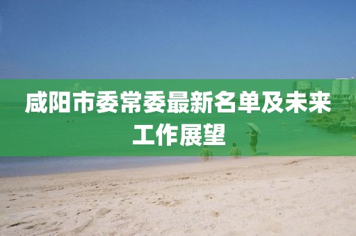 咸陽市委常委最新名單及未來工作展望
