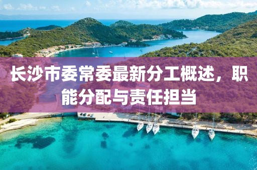 長沙市委常委最新分工概述，職能分配與責(zé)任擔(dān)當(dāng)