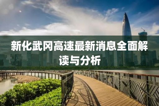 新化武岡高速最新消息全面解讀與分析