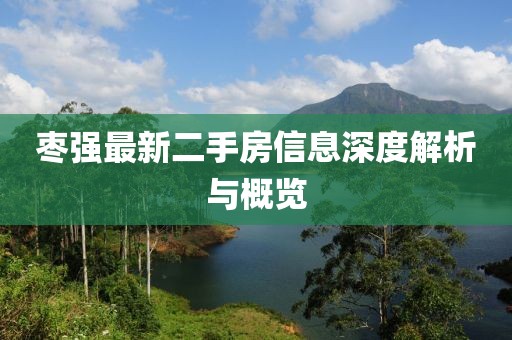 棗強(qiáng)最新二手房信息深度解析與概覽