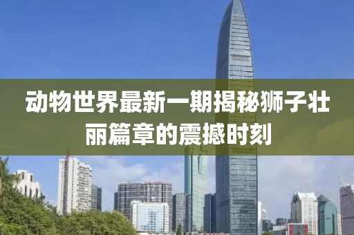 動(dòng)物世界最新一期揭秘獅子壯麗篇章的震撼時(shí)刻