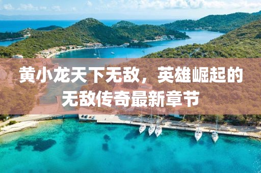 黃小龍?zhí)煜聼o(wú)敵，英雄崛起的無(wú)敵傳奇最新章節(jié)