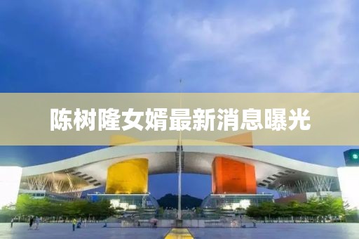 陳樹隆女婿最新消息曝光