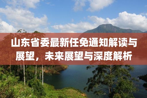 山東省委最新任免通知解讀與展望，未來(lái)展望與深度解析