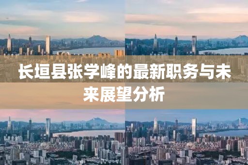 長垣縣張學(xué)峰的最新職務(wù)與未來展望分析