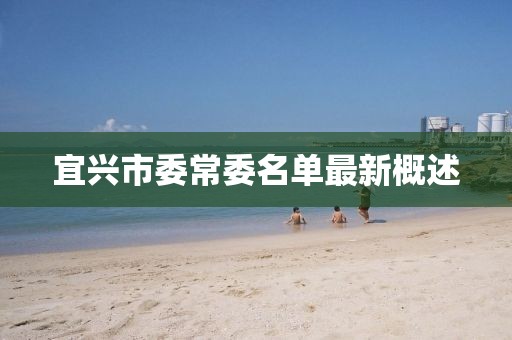 宜興市委常委名單最新概述