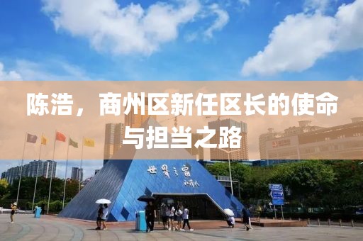 陳浩，商州區(qū)新任區(qū)長(zhǎng)的使命與擔(dān)當(dāng)之路