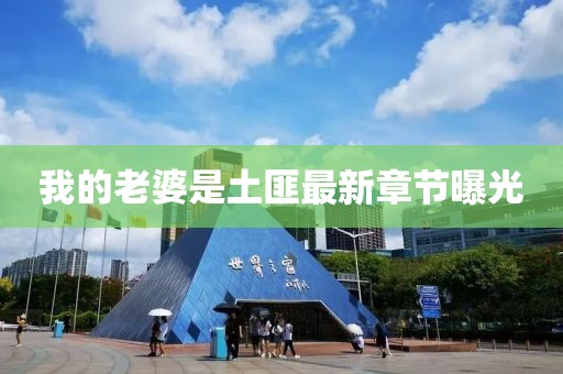 我的老婆是土匪最新章節(jié)曝光