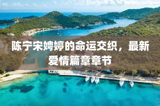 陳寧宋娉婷的命運交織，最新愛情篇章章節(jié)