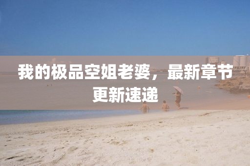 我的極品空姐老婆，最新章節(jié)更新速遞
