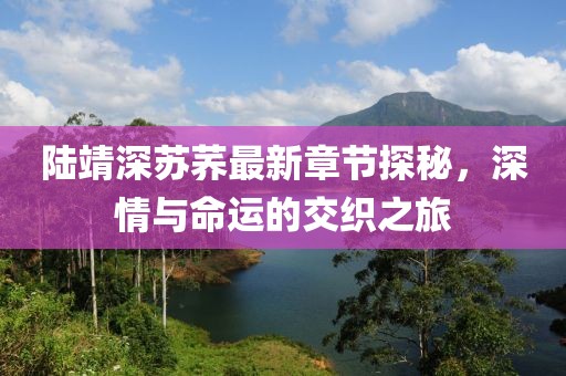 最完美的 第11頁